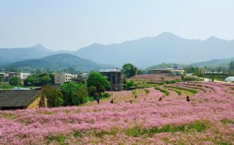 孔元村在哪？孔元村景点介绍