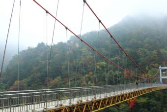 铁索桥 庐山悬索桥在哪？庐山悬索桥（铁索桥）景点介绍