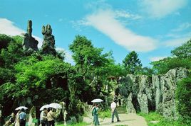 天池石林在哪？天池石林景点介绍