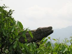 白水洞在哪？白水洞景点介绍