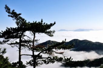 大仙峰茶美人景区在哪？大仙峰茶美人景区景点介绍