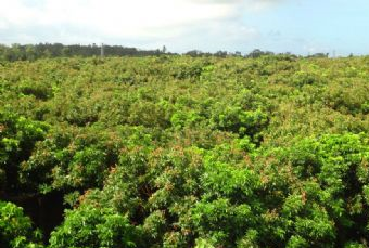 青山村在哪？青山村景点介绍