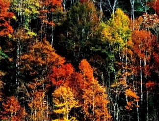 五马朝天在哪？五马朝天景点介绍