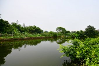 德兴洎水河省级湿地公园在哪？德兴洎水河省级湿地公园景点介绍