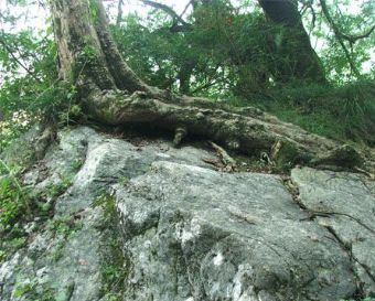 砚山在哪？砚山景点介绍