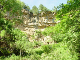 东岩寺在哪？东岩寺景点介绍