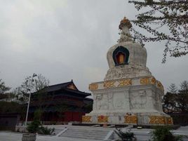 东塔在哪?东塔景点介绍