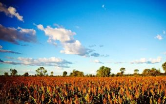 高密東北鄉(xiāng)旅游區(qū)在哪？高密東北鄉(xiāng)旅游區(qū)景點介紹