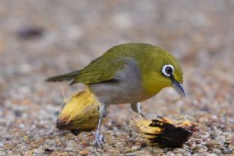 和尚山遺址在哪？和尚山遺址景點介紹
