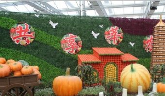 莘县中原现代农业嘉年华在哪？莘县中原现代农业嘉年华景点介绍