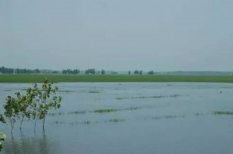 息县淮河国家湿地公园在哪？息县淮河国家湿地公园景点介绍