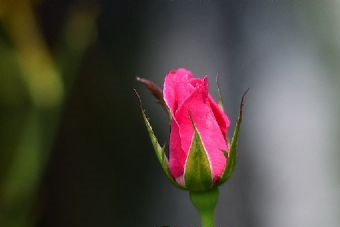 东明黄河国家湿地公园在哪？东明黄河国家湿地公园景点介绍