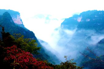 三峡芝兰谷景区在哪？三峡芝兰谷景区景点介绍