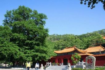 安丘城顶山在哪?安丘城顶山景点介绍