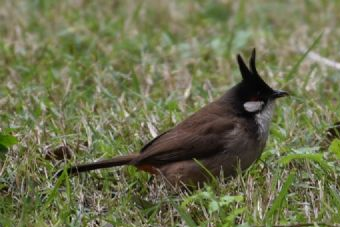 東正休閑山莊在哪？東正休閑山莊景點介紹