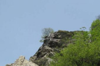 大悟山在哪？大悟山景点介绍