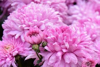 栖霞李氏庄园在哪？栖霞李氏庄园景点介绍