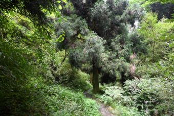 蜡烛山在哪？蜡烛山景点介绍