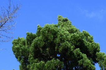 滨州城墙遗址在哪？滨州城墙遗址景点介绍