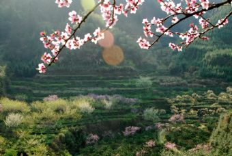 乐昌九峰山 九峰镇在哪？九峰镇（乐昌九峰山）景点介绍