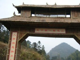 南方红豆杉森林公园在哪？南方红豆杉森林公园景点介绍