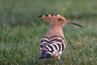 盛林生态旅游区在哪？盛林生态旅游区景点介绍