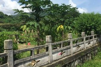 鹤薮古村在哪？鹤薮古村景点介绍