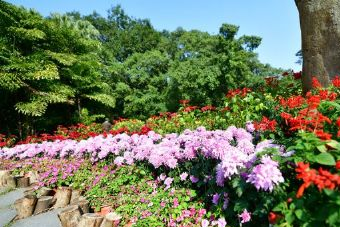 銅信溪濕地公園在哪？銅信溪濕地公園景點介紹