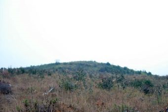 鲶鱼转遗址在哪？鲶鱼转遗址景点介绍