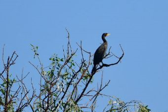 翁源滃江源国家湿地公园在哪?翁源滃江源国家湿地公园景点介绍