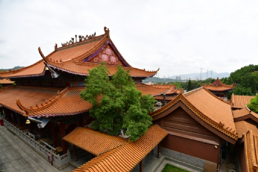 深圳弘源寺在哪？深圳弘源寺景点介绍