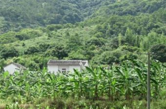 金桔自然保护区在哪？金桔自然保护区景点介绍