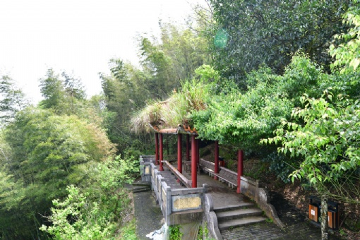 望梅阁在哪?望梅阁景点介绍