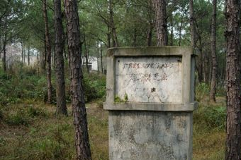 走马岗遗址在哪？走马岗遗址景点介绍