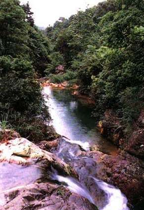 银坑溪景区在哪？银坑溪景区景点介绍