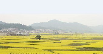 秩堂镇毗塘村在哪?秩堂镇毗塘村景点介绍