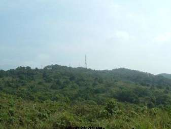 丹鳳朝陽在哪？丹鳳朝陽景點介紹