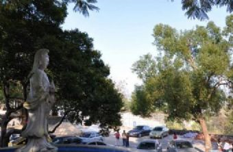 深圳观音山公园在哪？深圳观音山公园景点介绍