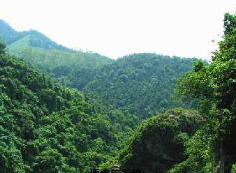 大南山在哪？大南山景点介绍