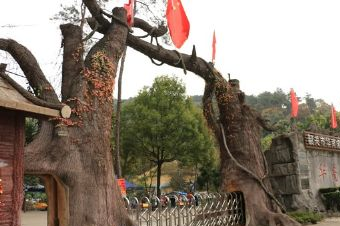 韶關(guān)華南虎園在哪？韶關(guān)華南虎園景點(diǎn)介紹