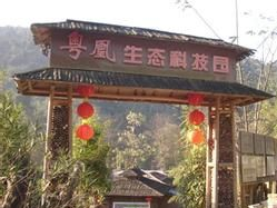 天井山粤凰科技生态园在哪？天井山粤凰科技生态园景点介绍