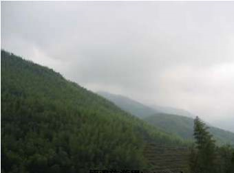 红山高坪自然保护区在哪？红山高坪自然保护区景点介绍