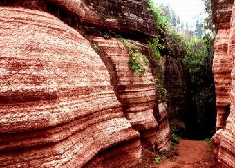 红石林在哪?红石林景点介绍