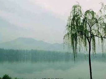東洲島在哪？東洲島景點介紹