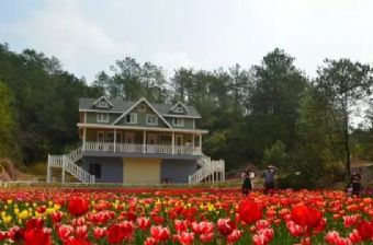 樱花谷爱丽丝庄园在哪?樱花谷爱丽丝庄园景点介绍