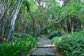 蟠龙山森林公园在哪？蟠龙山森林公园景点介绍