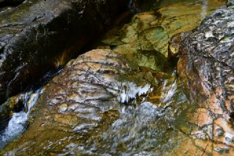 龙潭国家森林公园在哪？龙潭国家森林公园景点介绍