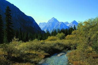 白马王朗国家级自然景区在哪？白马王朗国家级自然景区景点介绍