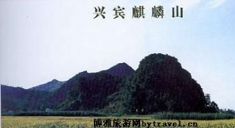 兴宾麒麟山在哪？兴宾麒麟山景点介绍