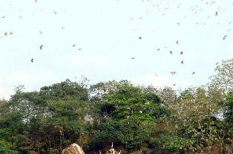白鹭湖文明生态片区在哪？白鹭湖文明生态片区景点介绍